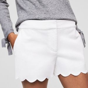 Loft White Scalloped Shorts